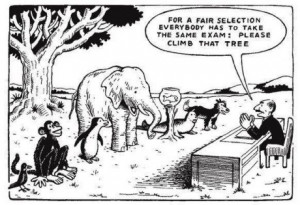 ... selection everybody has to take the same exam: Please climb that tree