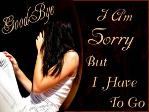 promises i m sorry i am not perfect i m sorry