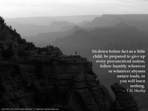 Quotations #10: Random Visions