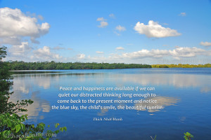 137Peace and happiness are available if we can quiet our distracted ...