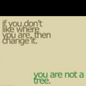 Pinned by fabi nogueira