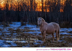 ... -photo/horse-quotes-sayings-poems-thoughts-on-horses-photography.html