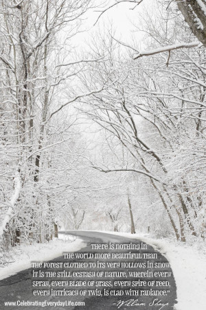 Snowy Road, Snow Scene, Snow in the Woods, Inspiring Snow Quote ...