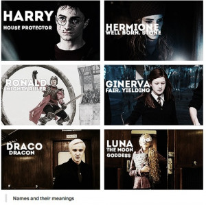 Harry Potter cast and the meaning of their ... | Harry Potter, Harr...
