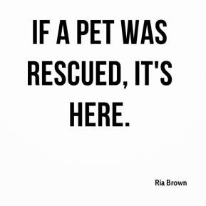 Best Pet Quotes