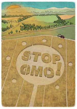 stop gmo lists of foods and companies that use genetically modified ...