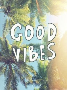 Good vibes text sunny paradise palm tree trees wallpaper background ...