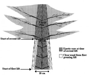Figure Time The Second Lift