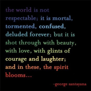 George Santayana quote