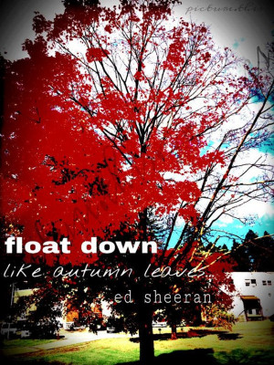 Autumn Leaves Ed Sheeran lyrics Print by PictureThisGraphix, $3.00 # ...