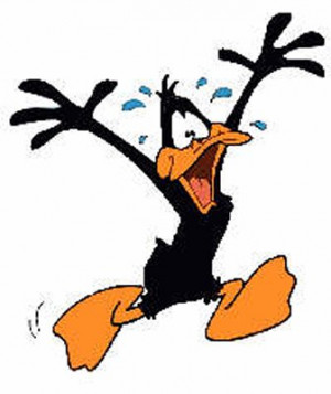 Related Pictures funny quotes daffy duck quotes jpg