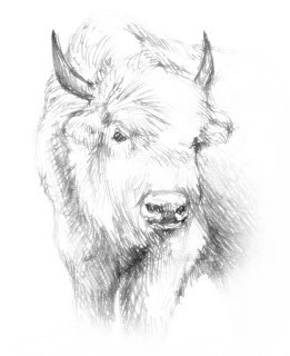 White Buffalo (New Beginnings) Series