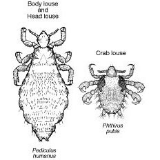 Here's that Thomas Sowell quote y'all wanted
