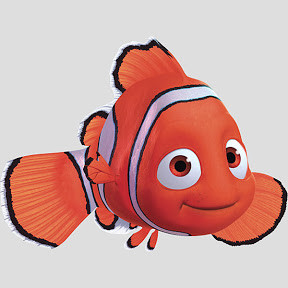 Couple Cute Fish Love Nemo