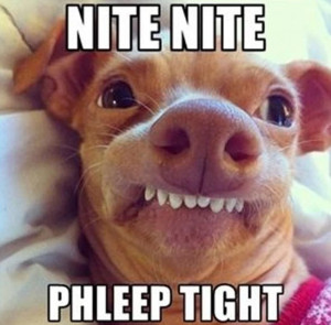 nite nite, phleep tight