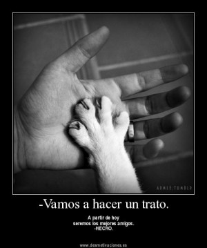 ver Desmotivaciones tristes con frases para facebook