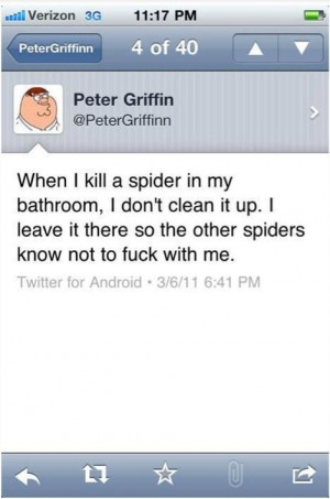 funny quotes about killing spiders