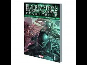 Black Panther the Man Without Fear Graphic Novel