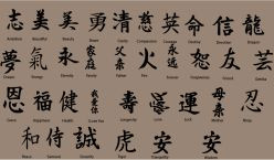 5578 - Kanji Wall Words Decal Wall Lettering Decals