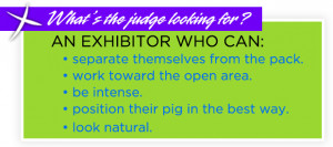 Swine Showmanship Judge Gives Top Tips on Looking Natural in the Ring