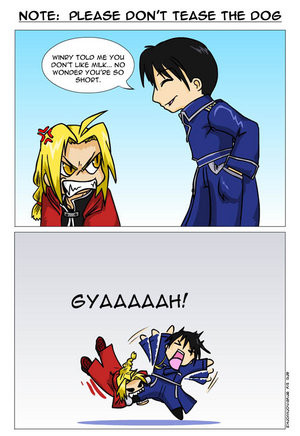 Related Pictures funny full metal alchemist quotes