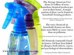 This week we are focusing on detoxifying our homes.