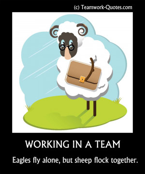Sheep working in a team poster