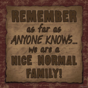 WE-ARE-A-NICE-NORMAL-FAMILY-FUNNY-Wood-Sign-Primitive-Country-Rustic ...