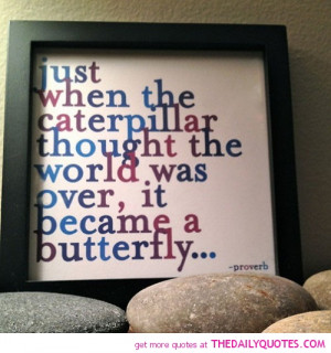 caterpillar-became-butterfly-proverb-quotes-sayings-pictures.jpg