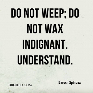 Baruch Spinoza Motivational Quotes
