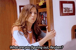 605 Along Came Polly quotes