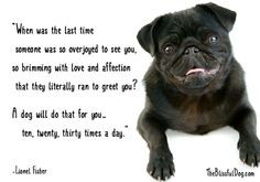 The Blissful Dog of the Day Quote - “When was the last time someone ...