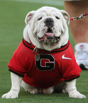 Newby Realty - Manufactured Home Sales