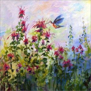 Hummingbird Dances in Red and Pink Bee Balm Flowers