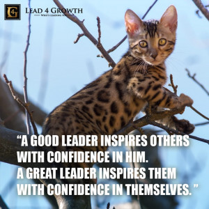... leadership #quote #cute #nature #kittens #cat #lead4growth