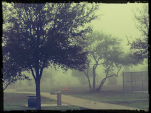 Another Foggy Day Run Been...