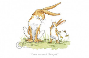 Guess how much I love you by Anita Jeram