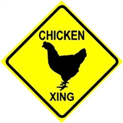 Albert Einstein: The chicken did not cross the road. The road passed ...