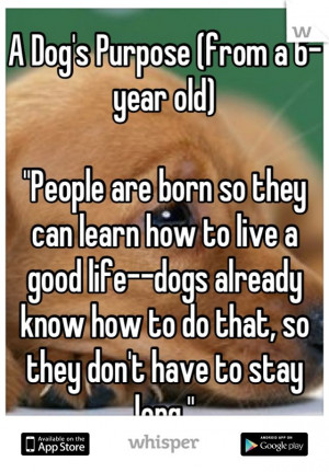 ... Born, Dogs Quotes, Good Life, Dogs Purpose, How To, Old People, Animal