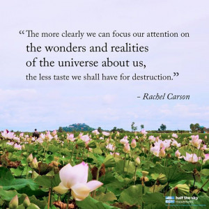 Rachel Carson's Silent Spring was published in 1962, resulting in a ...