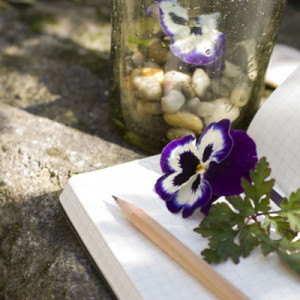 Quotes On Mediation #1