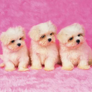 Funny Quotes Contact Us DMCA Notice