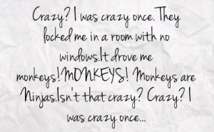... monkeys monkeys are ninjas isn t that crazy crazy i was crazy once