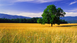 nature-landscape-beautiful-photos-best-desktop-landscape-hd-wallpapers ...