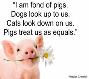 Piglet Quote