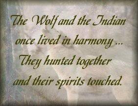WolfIndianHunted.jpg