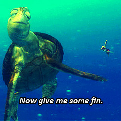 Crush The Turtle Quotes Crush Finding Nemo Best Quotes By. Quotesgram