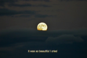 cry, dark, full moon, moon, movie, quote, sad, wolf