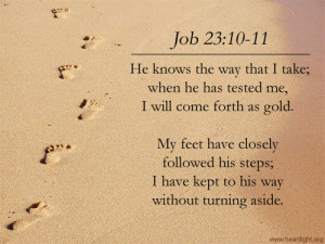 Bible verse of the day Job 23:10-11