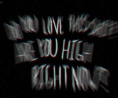 10 months ago in collection: Let's get high together